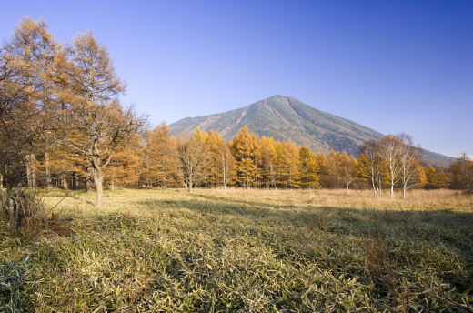 519967 (a): :4000x2639